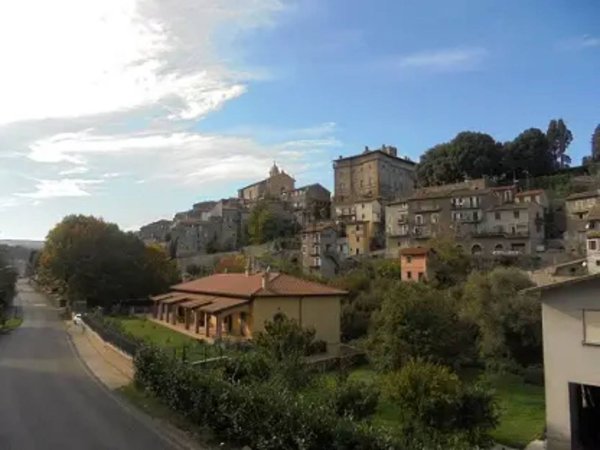 appartamento in vendita a Vignanello