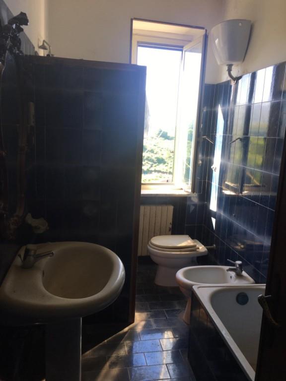 appartamento in vendita a Vignanello