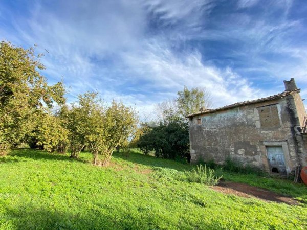 appartamento in vendita a Vignanello