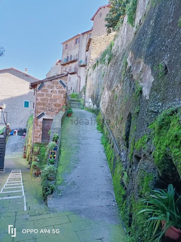 appartamento in vendita a Vignanello