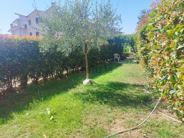 quadrivano in vendita a Vignanello