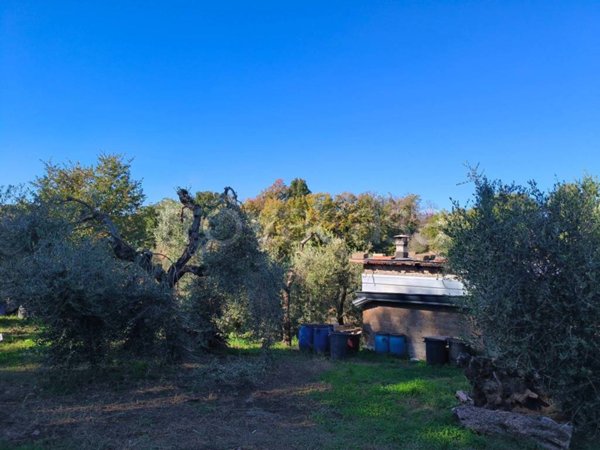 terreno agricolo in vendita a Vignanello
