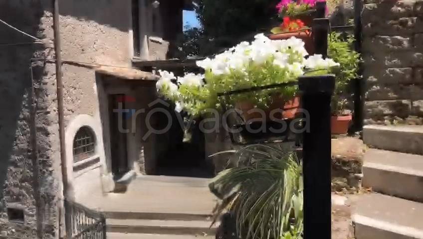 casa indipendente in vendita a Vignanello