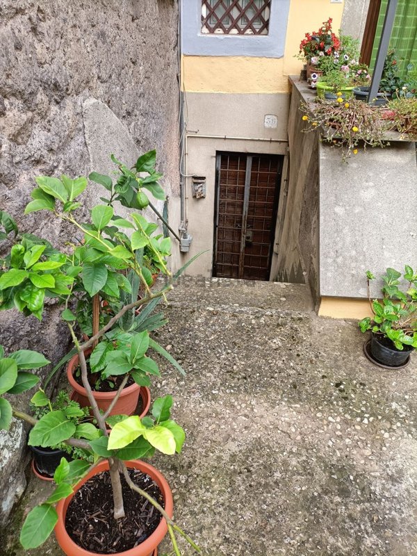 appartamento in vendita a Vignanello