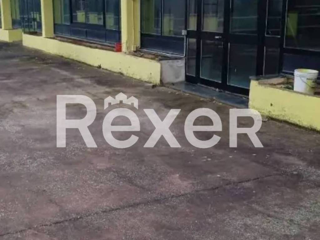 negozio in vendita a Vignanello