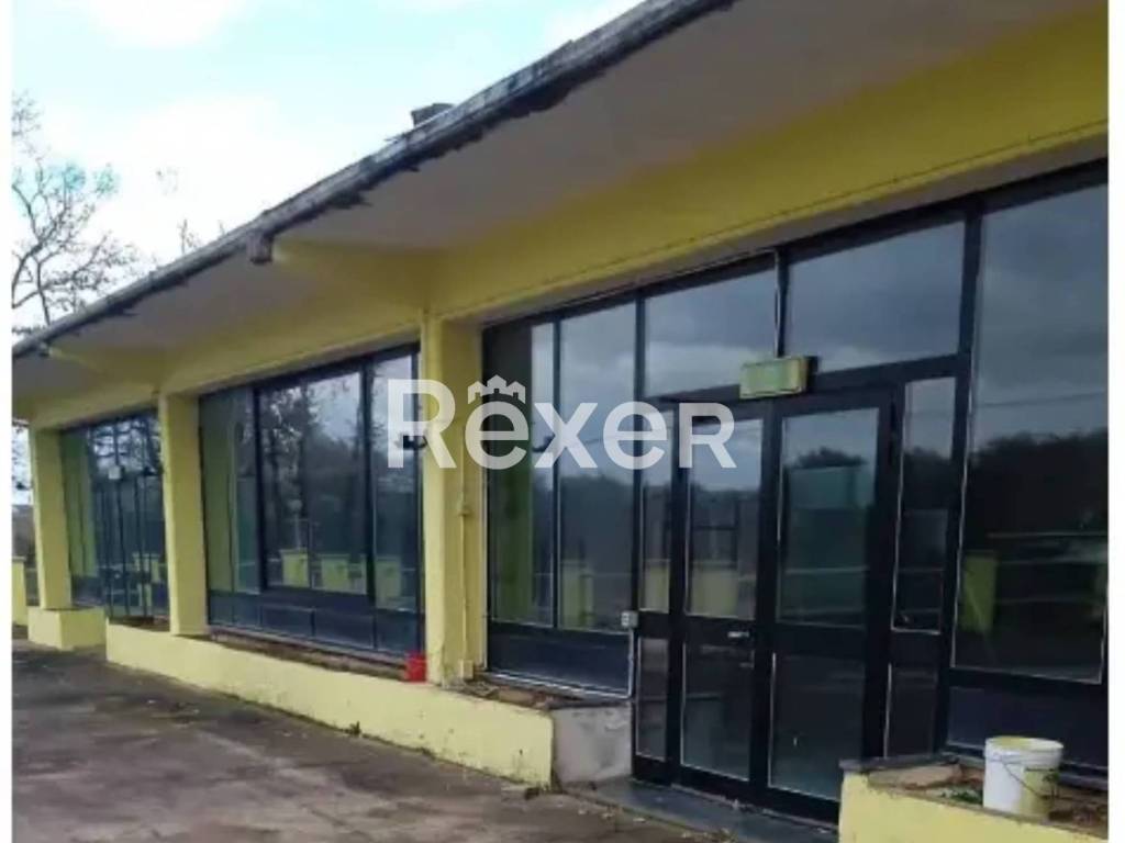 negozio in vendita a Vignanello