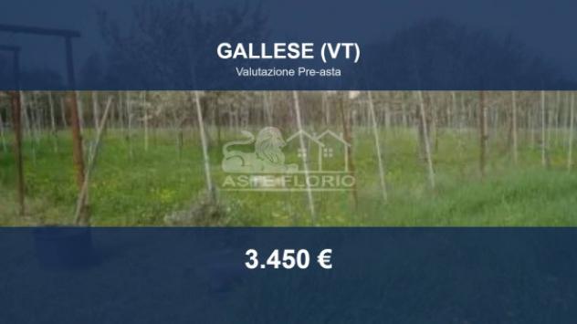 terreno agricolo in vendita a Vignanello