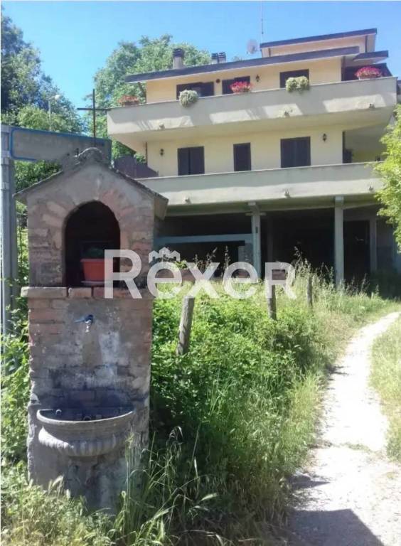 locale commerciale in vendita a Vignanello