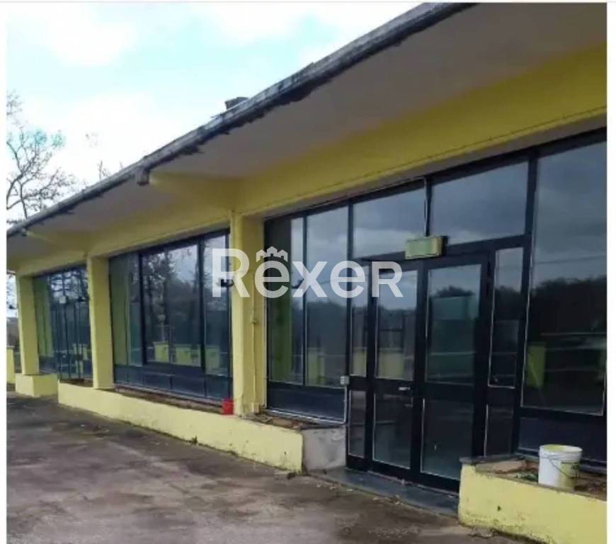 negozio in vendita a Vignanello