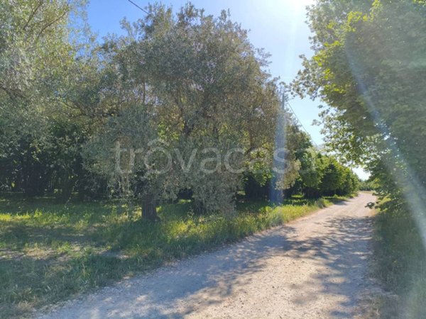 terreno agricolo in vendita a Vignanello