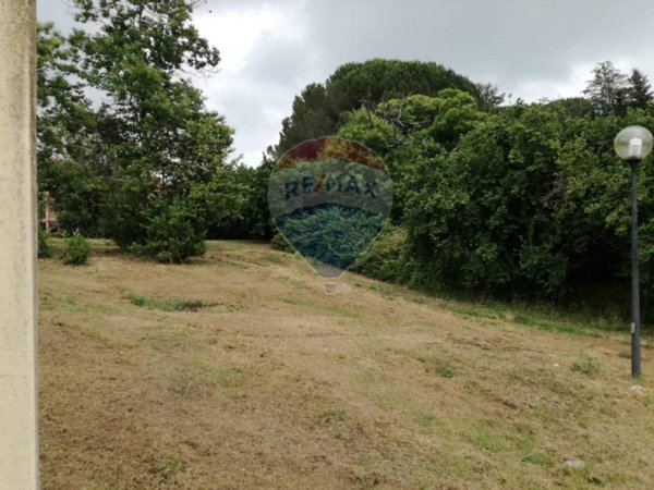terreno agricolo in vendita a Vignanello