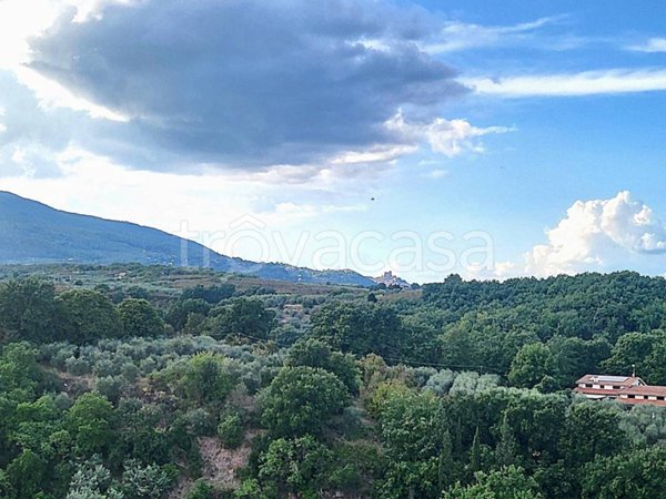 appartamento in vendita a Vignanello