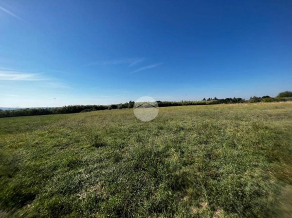 terreno agricolo in vendita a Viterbo in zona Castel d'Asso