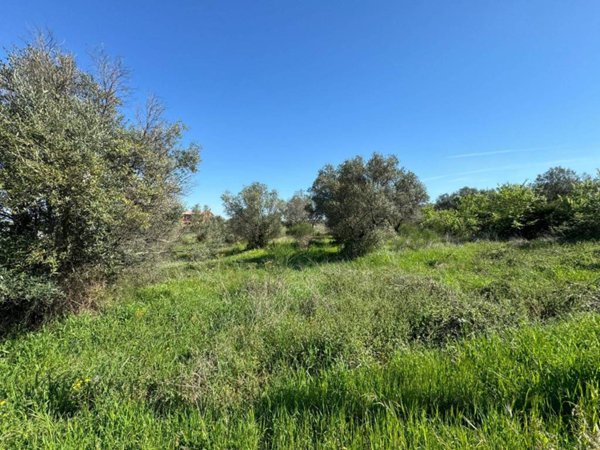 terreno agricolo in vendita a Viterbo in zona Tobia