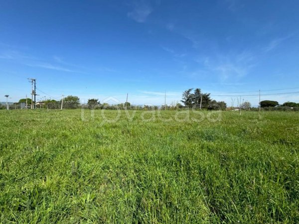 terreno agricolo in vendita a Viterbo in zona Bagnaia