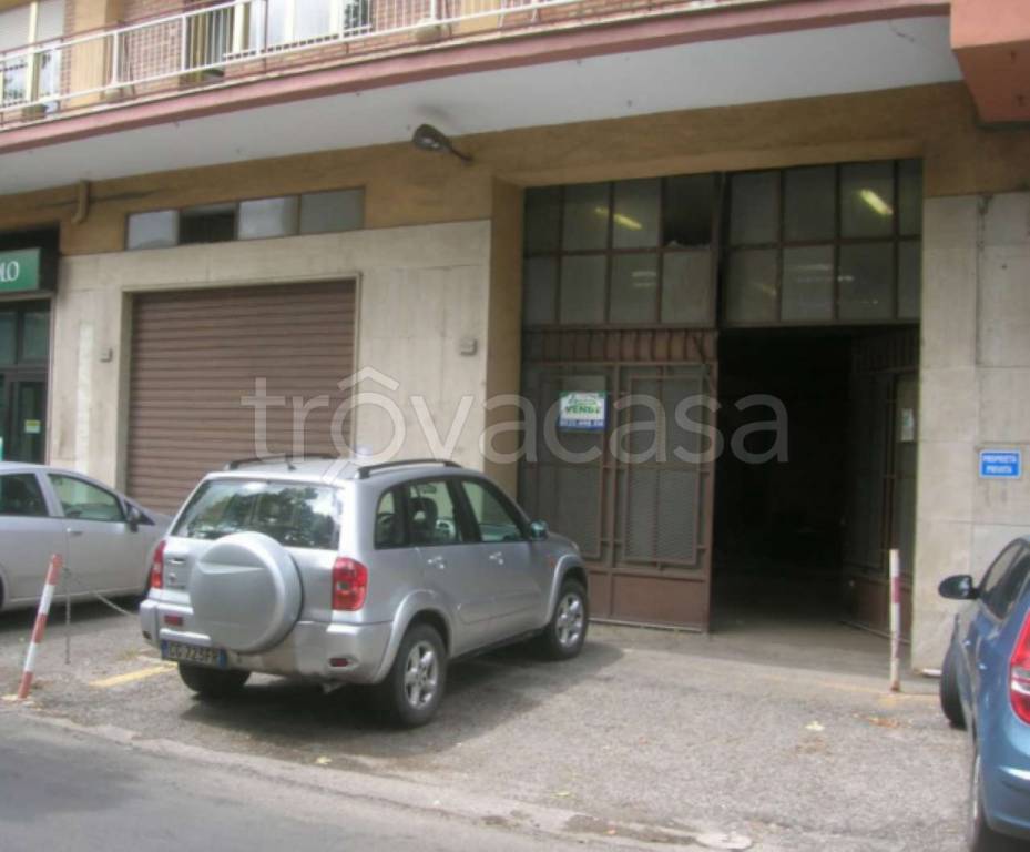 negozio in vendita a Viterbo