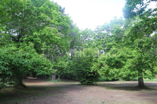 terreno agricolo in vendita a Viterbo in zona Bagnaia
