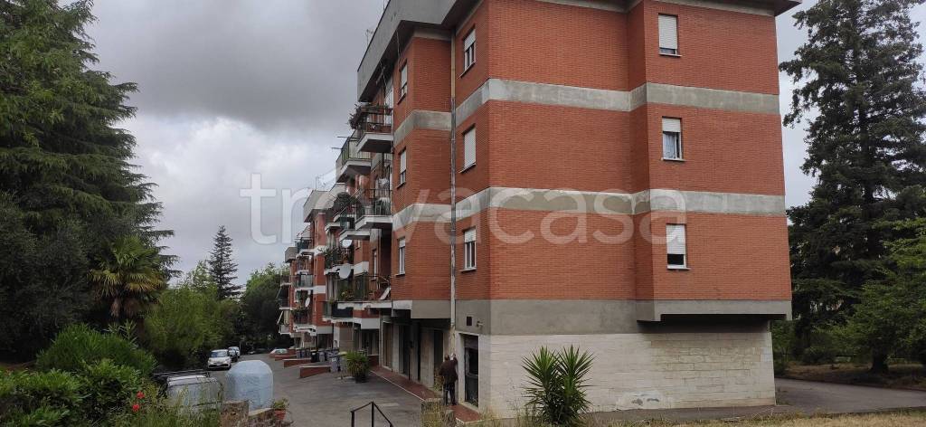 appartamento in vendita a Viterbo