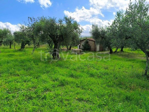casa indipendente in vendita a Viterbo