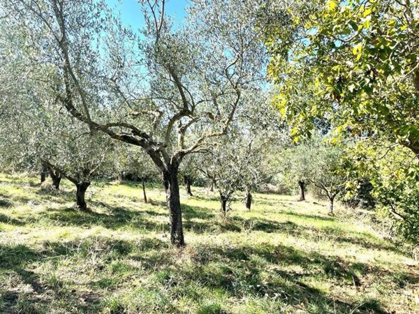 terreno agricolo in vendita a Viterbo in zona Bagnaia