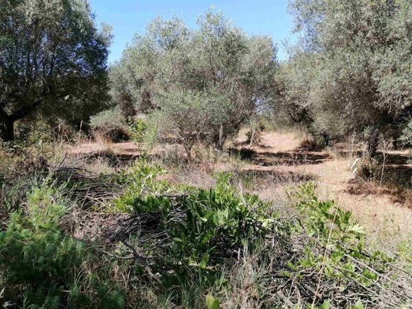 appartamento in vendita a Viterbo in zona Castel d'Asso