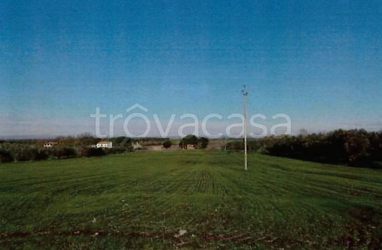 locale di sgombero in vendita a Viterbo in zona Castel d'Asso