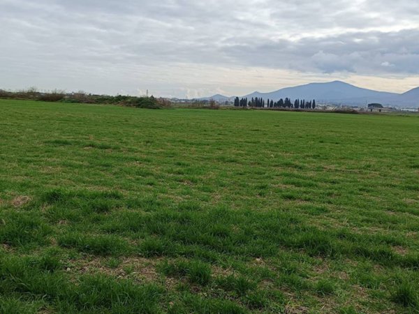 terreno agricolo in vendita a Viterbo