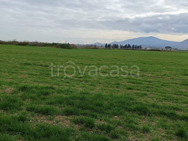 terreno agricolo in vendita a Viterbo