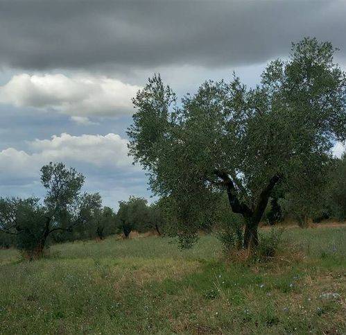 casa indipendente in vendita a Viterbo in zona Centro Città