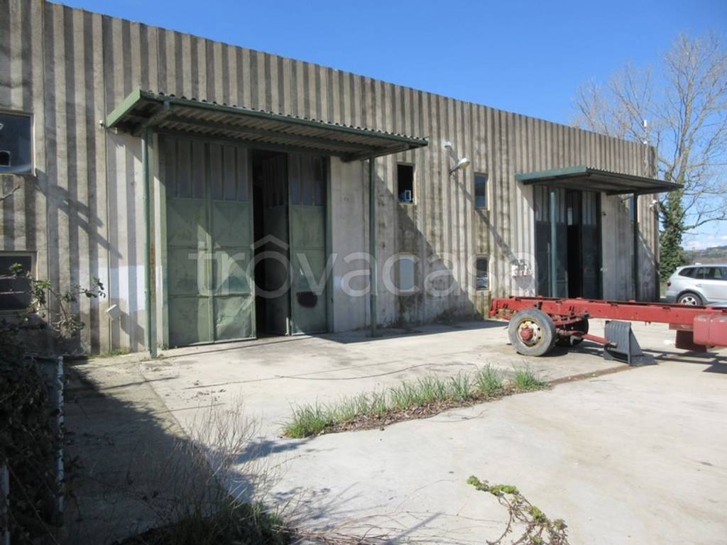 appartamento in vendita a Viterbo in zona Monterazzano