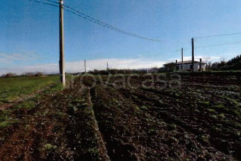 terreno agricolo in vendita a Viterbo