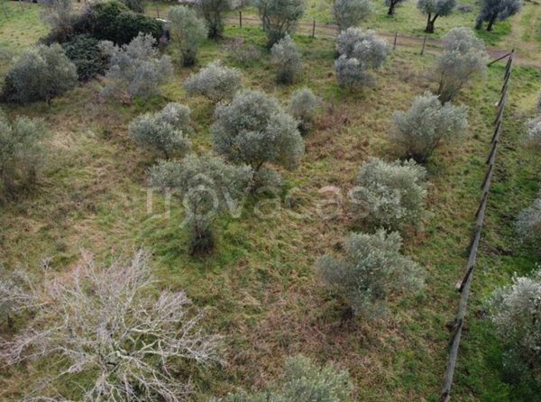 terreno agricolo in vendita a Viterbo in zona La Quercia