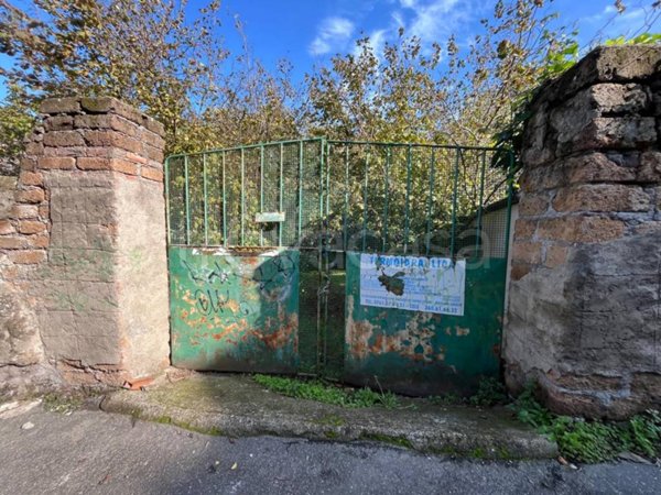 terreno agricolo in vendita a Viterbo