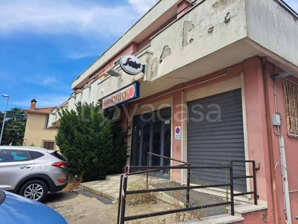 negozio in vendita a Viterbo