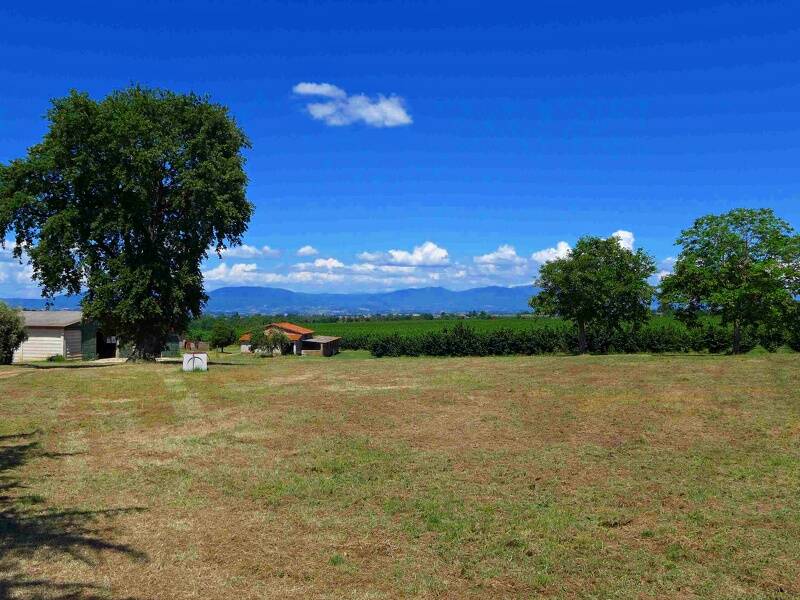 azienda agricola in vendita a Viterbo