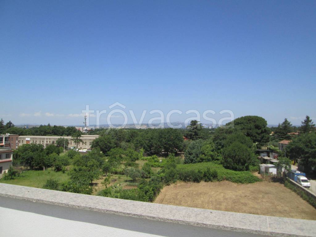 appartamento in vendita a Viterbo