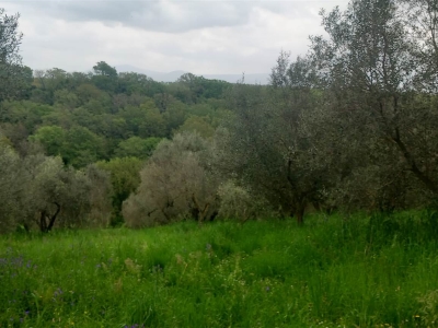 casa indipendente in vendita a Viterbo