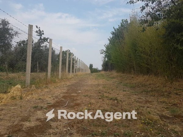 terreno agricolo in vendita a Viterbo in zona San Martino al Cimino