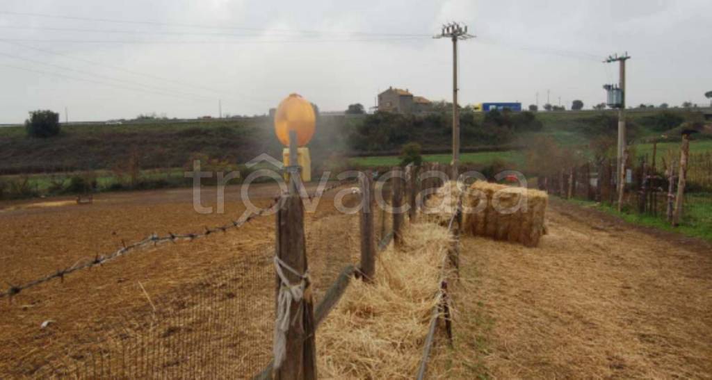 terreno agricolo in vendita a Viterbo in zona Castel d'Asso