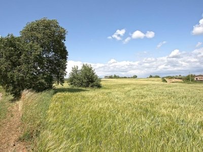 casa indipendente in vendita a Viterbo