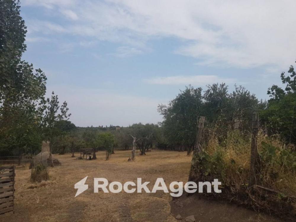 terreno agricolo in vendita a Viterbo in zona Bagnaia