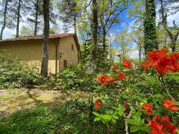 casa indipendente in vendita a Viterbo