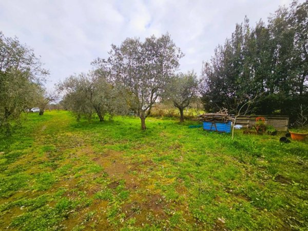terreno agricolo in vendita a Viterbo in zona La Quercia