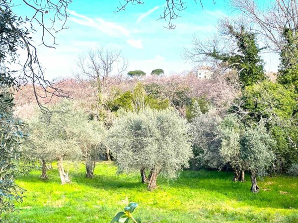 terreno agricolo in vendita a Viterbo in zona Tobia