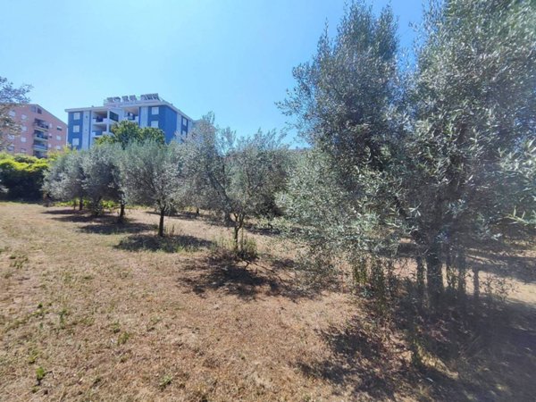 terreno agricolo in vendita a Viterbo