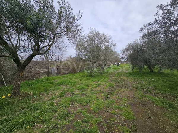 terreno agricolo in vendita a Viterbo in zona La Quercia
