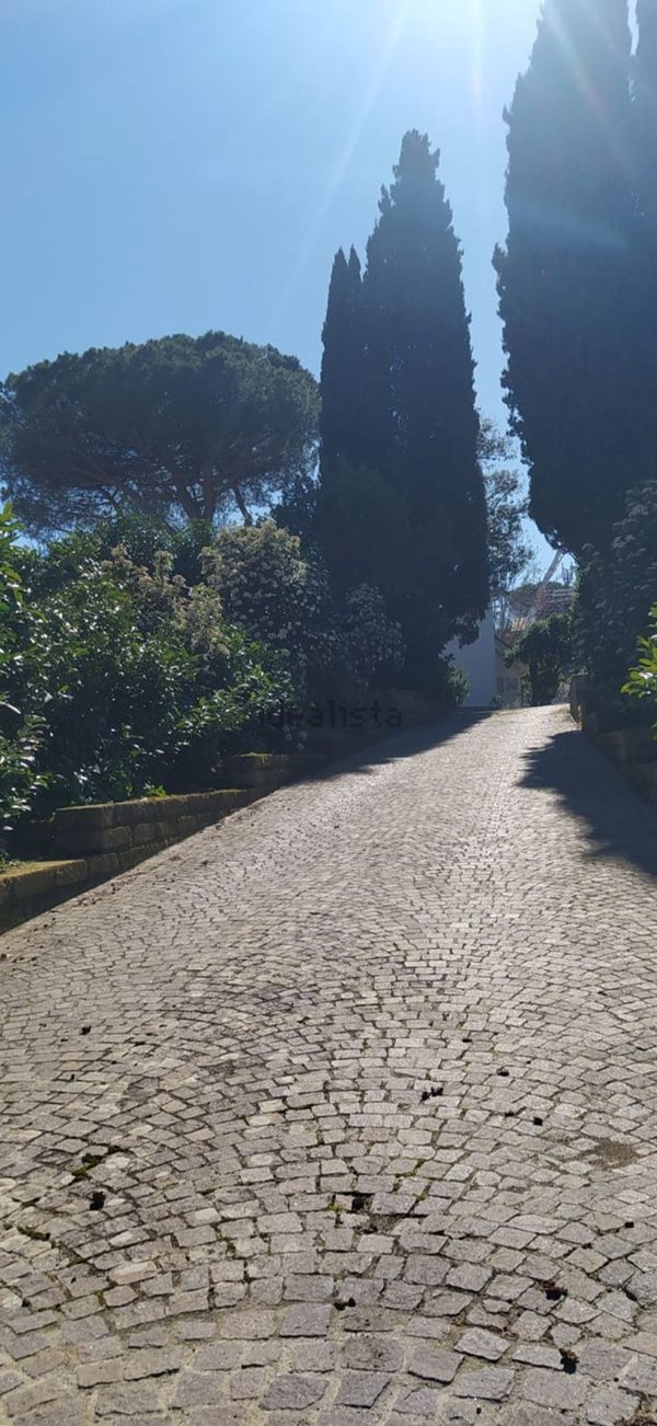casa indipendente in vendita a Viterbo in zona Bagnaia