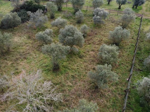 terreno agricolo in vendita a Viterbo in zona Grotte Santo Stefano