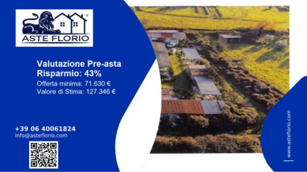 pentavano in vendita a Viterbo