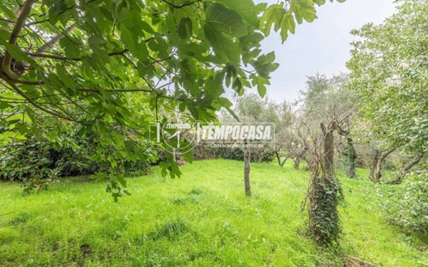 appartamento in vendita a Viterbo in zona Bagnaia